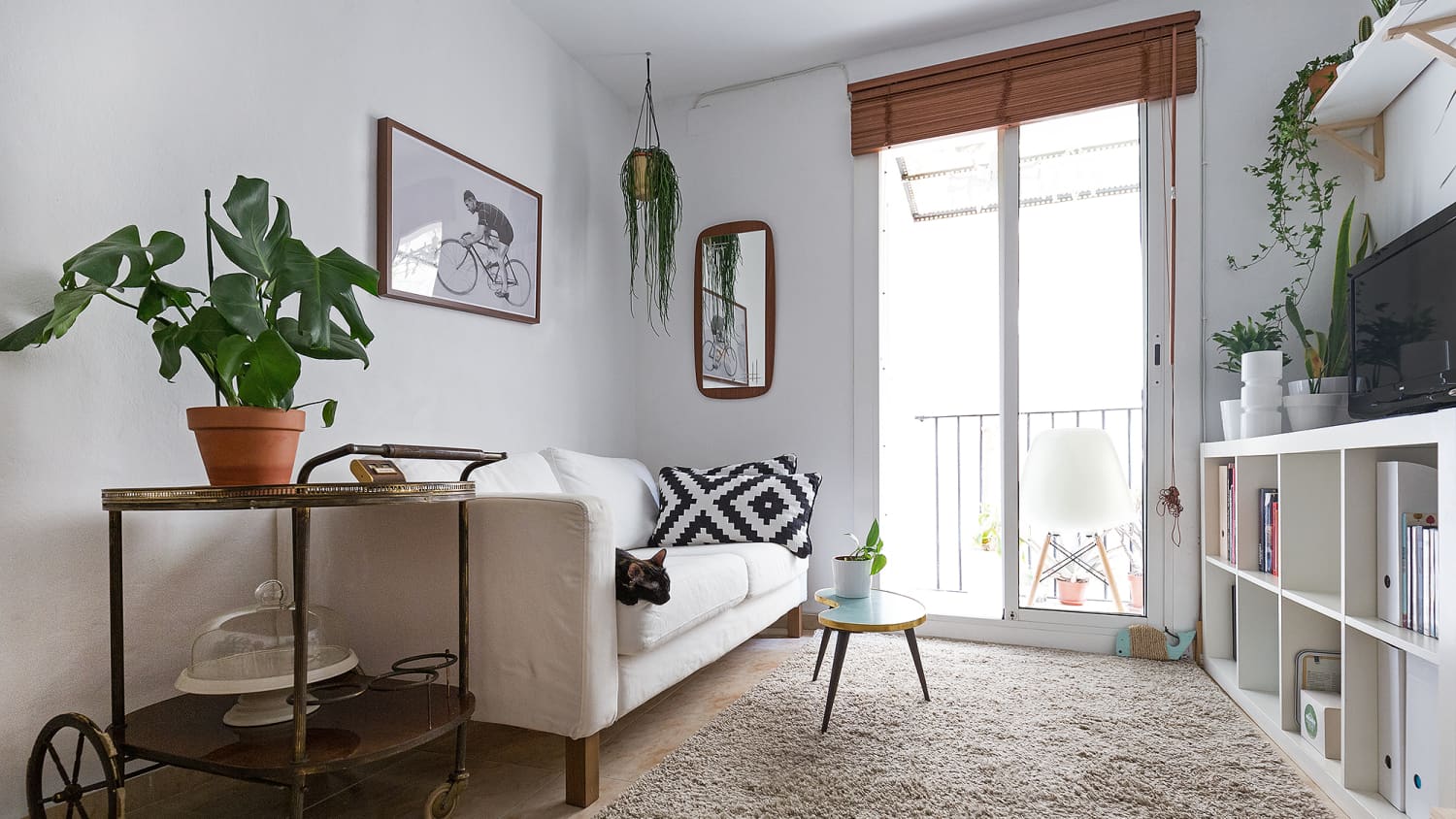 Small living hot sale